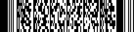PDF417 の barcode example